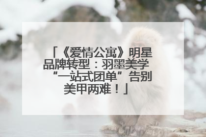 《爱情公寓》明星品牌转型：羽墨美学“一站式团单”告别美甲两难！