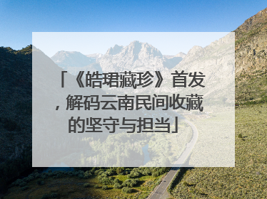 《皓珺藏珍》首发，解码云南民间收藏的坚守与担当
