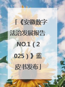 《安徽数字法治发展报告NO.1（2025）》蓝皮书发布