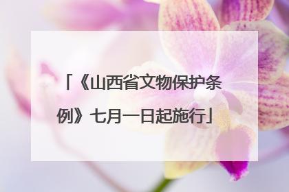 《山西省文物保护条例》七月一日起施行