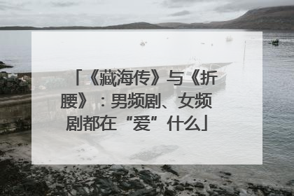 《藏海传》与《折腰》：男频剧、女频剧都在“爱”什么