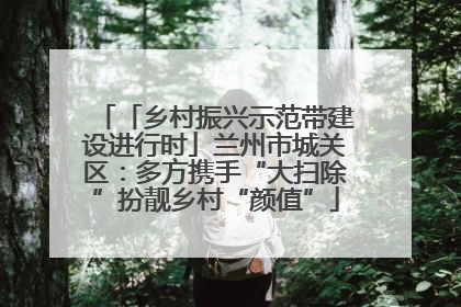 「乡村振兴示范带建设进行时」兰州市城关区：多方携手“大扫除”扮靓乡村“颜值”