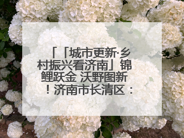 「城市更新·乡村振兴看济南」锦鲤跃金 沃野图新！济南市长清区：小锦鲤大产业 游出农旅新风景