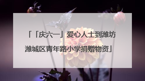 「庆六一」爱心人士到潍坊潍城区青年路小学捐赠物资
