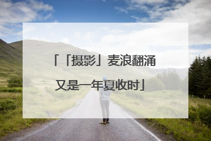 「摄影」麦浪翻涌 又是一年夏收时