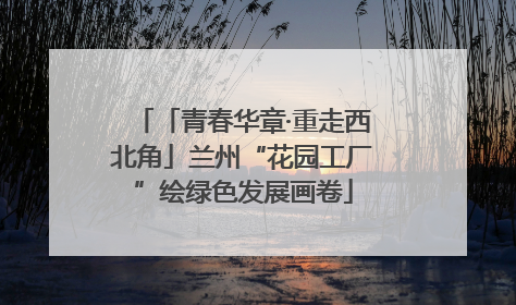 「青春华章·重走西北角」兰州“花园工厂”绘绿色发展画卷