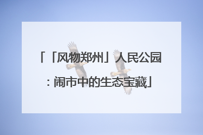 「风物郑州」人民公园：闹市中的生态宝藏