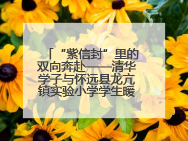 “紫信封”里的双向奔赴——清华学子与怀远县龙亢镇实验小学学生暖心书信之约