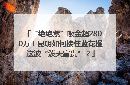 “绝绝紫”吸金超2800万！昆明如何接住蓝花楹这波“泼天富贵”？
