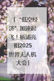 “低空经济”加速起飞！杨浦亮相2025世界无人机大会