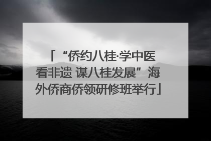 “侨约八桂·学中医 看非遗 谋八桂发展”海外侨商侨领研修班举行