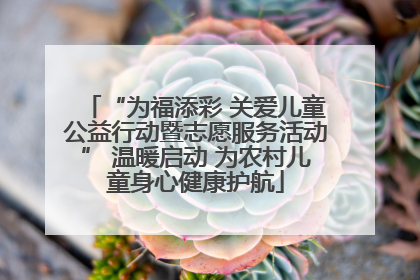 “为福添彩 关爱儿童公益行动暨志愿服务活动” 温暖启动 为农村儿童身心健康护航