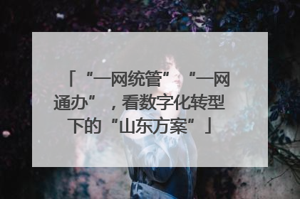 “一网统管”“一网通办”，看数字化转型下的“山东方案”