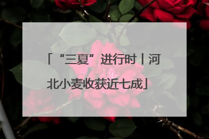 “三夏”进行时丨河北小麦收获近七成