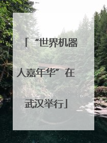 “世界机器人嘉年华”在武汉举行