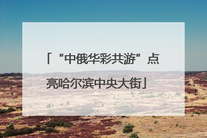 “中俄华彩共游”点亮哈尔滨中央大街