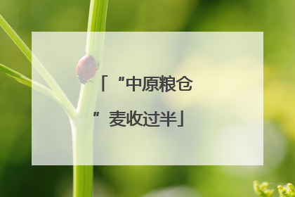 “中原粮仓”麦收过半