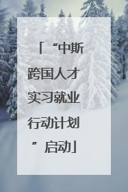 “中斯跨国人才实习就业行动计划”启动