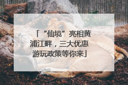 “仙境”亮相黄浦江畔，三大优惠游玩政策等你来
