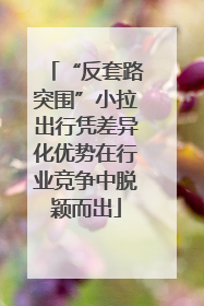 “反套路突围”小拉出行凭差异化优势在行业竞争中脱颖而出