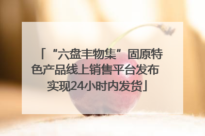 “六盘丰物集”固原特色产品线上销售平台发布 实现24小时内发货