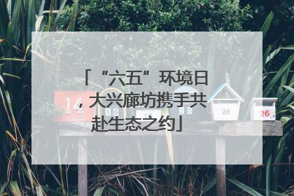 “六五”环境日，大兴廊坊携手共赴生态之约