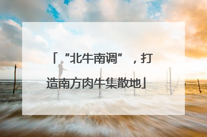 “北牛南调”，打造南方肉牛集散地