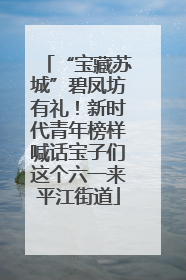 “宝藏苏城”碧凤坊有礼！新时代青年榜样喊话宝子们这个六一来平江街道