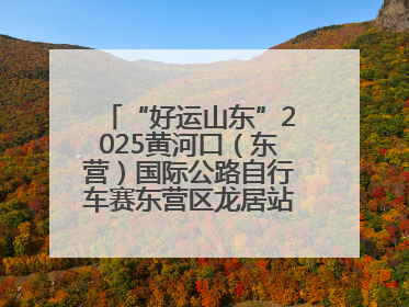 “好运山东”2025黄河口（东营）国际公路自行车赛东营区龙居站 完美“抄作业”，苦战最后时刻黄衫易主
