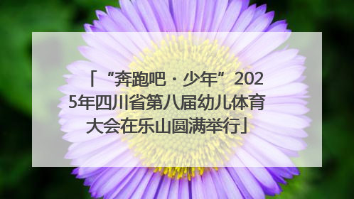 “奔跑吧・少年”2025年四川省第八届幼儿体育大会在乐山圆满举行