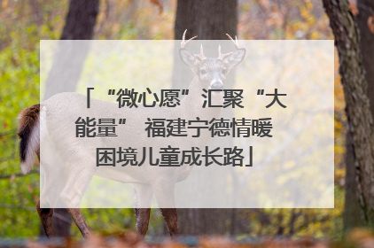 “微心愿”汇聚“大能量” 福建宁德情暖困境儿童成长路