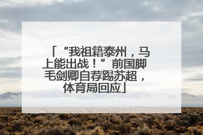 “我祖籍泰州，马上能出战！”前国脚毛剑卿自荐踢苏超，体育局回应