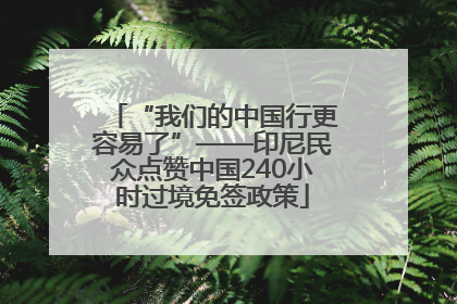 “我们的中国行更容易了”——印尼民众点赞中国240小时过境免签政策