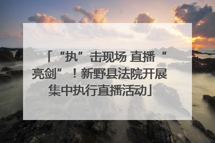 “执”击现场 直播“亮剑”！新野县法院开展集中执行直播活动