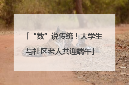 “数”说传统！大学生与社区老人共迎端午
