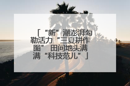 “新”潮澎湃勾勒活力“三夏耕作图” 田间地头满满“科技范儿”