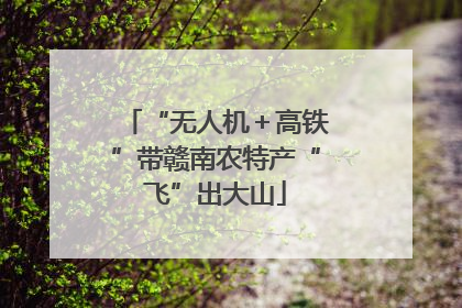 “无人机＋高铁”带赣南农特产“飞”出大山