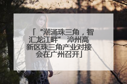“潮涌珠三角，智汇龙江畔” 漳州高新区珠三角产业对接会在广州召开