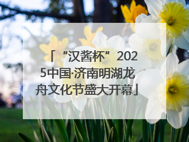 “汉酱杯”2025中国·济南明湖龙舟文化节盛大开幕