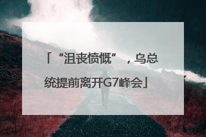 “沮丧愤慨”，乌总统提前离开G7峰会