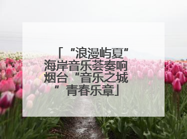 “浪漫屿夏”海岸音乐荟奏响烟台“音乐之城”青春乐章
