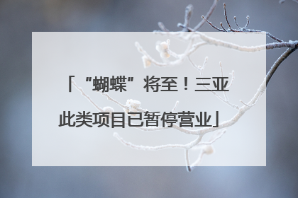 “蝴蝶”将至！三亚此类项目已暂停营业