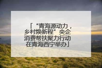 “青海源动力，乡村焕新程”央企消费帮扶聚力行动在青海西宁举办