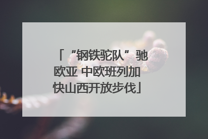 “钢铁驼队”驰欧亚 中欧班列加快山西开放步伐