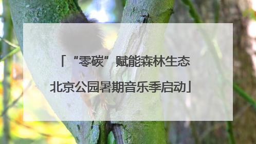 “零碳”赋能森林生态 北京公园暑期音乐季启动