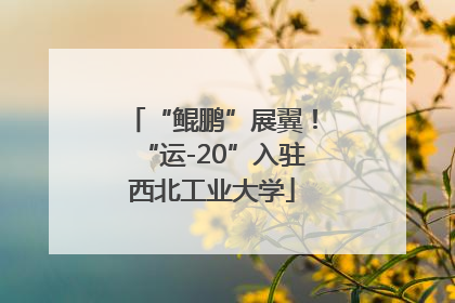 “鲲鹏”展翼！“运-20”入驻西北工业大学