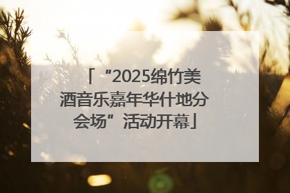 “2025绵竹美酒音乐嘉年华什地分会场”活动开幕