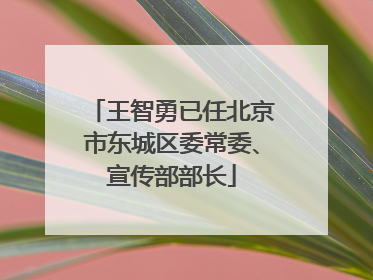 王智勇已任北京市东城区委常委、宣传部部长