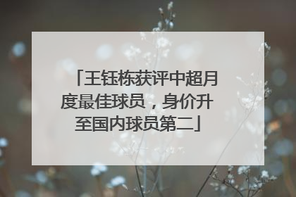 王钰栋获评中超月度最佳球员，身价升至国内球员第二