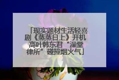 现实题材生活轻喜剧《蒸蒸日上》开机 高叶韩东君“澡堂律所”碰撞烟火气